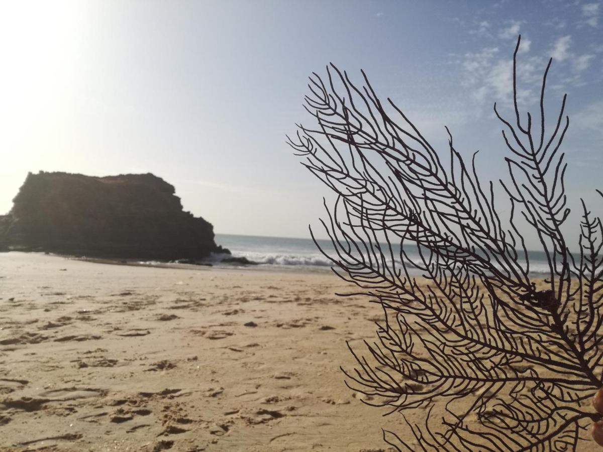 土巴迪亚劳 比格博凯旅舍旅舍 外观 照片
